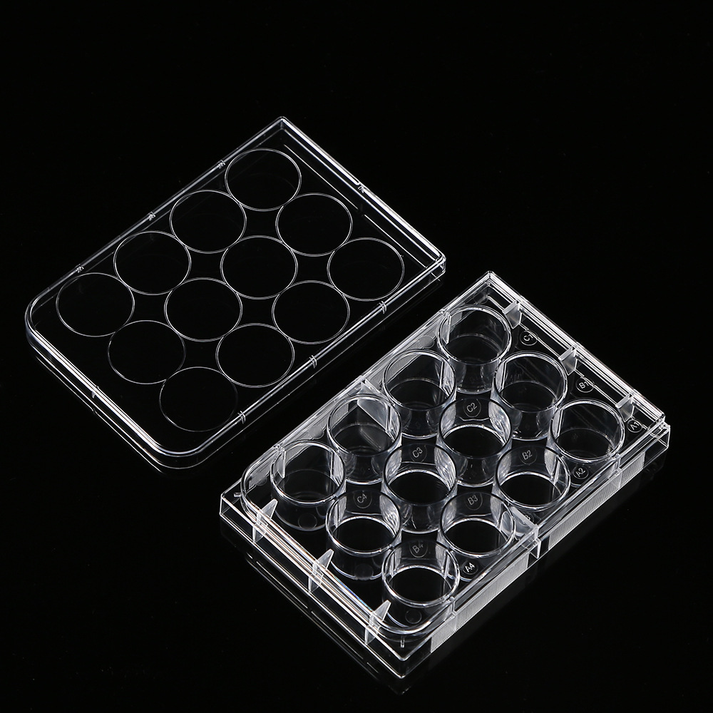 5Pcs Polystyrene 12 Well Petri - Medical Lab Supplies ulasan dan harga