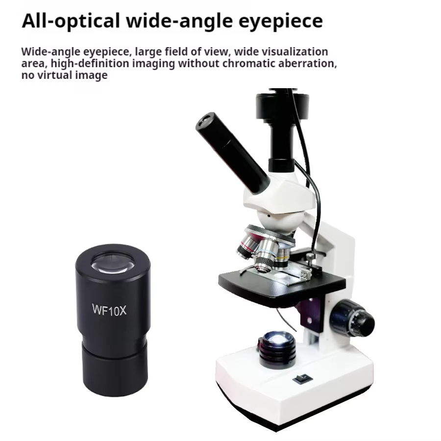 Top Selling HD Screen Digital  - Medical Lab ulasan dan harga